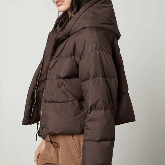 Velvet by Graham & Spencer “Raylin” Dark Brown Puffer Jacket - Picture 1 of 10